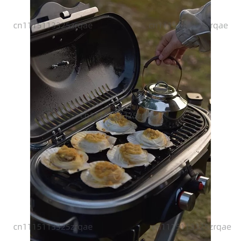 Outdoor Indoor Gas Cooking Sto - đánh giá và giá Camping Cooking Range