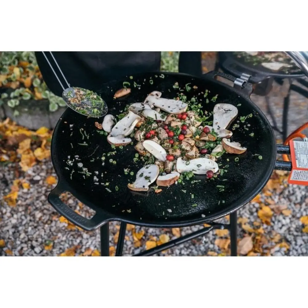 48cm Outdoor Gas Grill with Le - đánh giá và giá Camping Cooking Open Fire